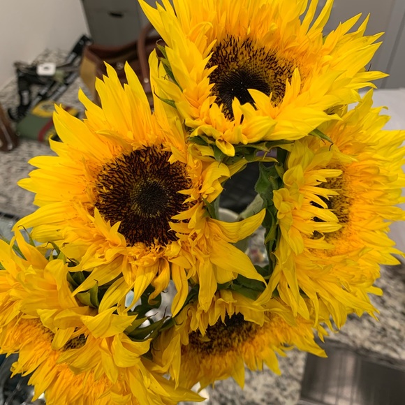 Meet your Posher, Anna - Picture 2 of 2